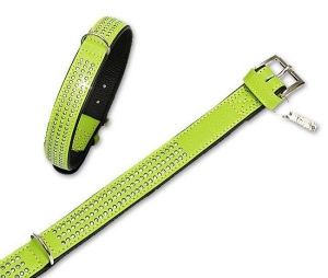 Karlie VINTAGE AUDREY Halsband - Kiwi - 30 mm, 55 cm