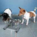 Trixie Hundebar mit Edelstahlnpfen - 2 x 1,8 l